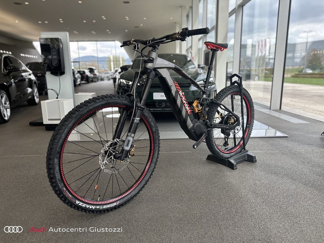 Audi electric bike